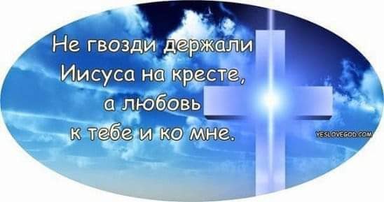 ' котебенидкой н