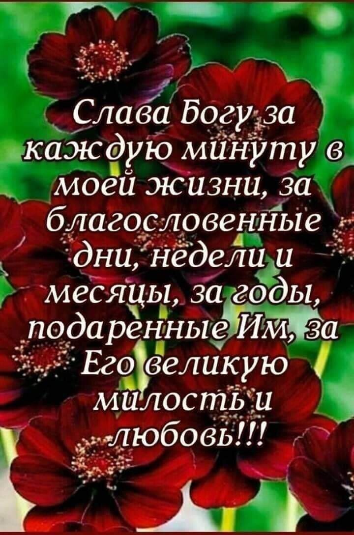 _ Ч _ _ 1 г _ д _ _ э Г Славйа Богуш1 ад каждую мііНуту моей жизни за благословенные 5Ддни недели и месяцы за гдды пода ренныеЪИАЁа Его великую малость и любовь А