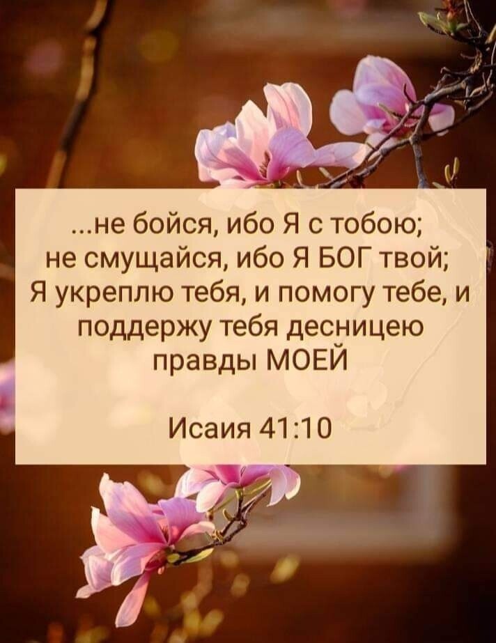 не бойся ибо Я с тобою не смущайся ибо Я БОГ твой Я укреппю тебя и помогу тебе и поддержу тебя дест іицею правды МОЕИ Исаия 4110