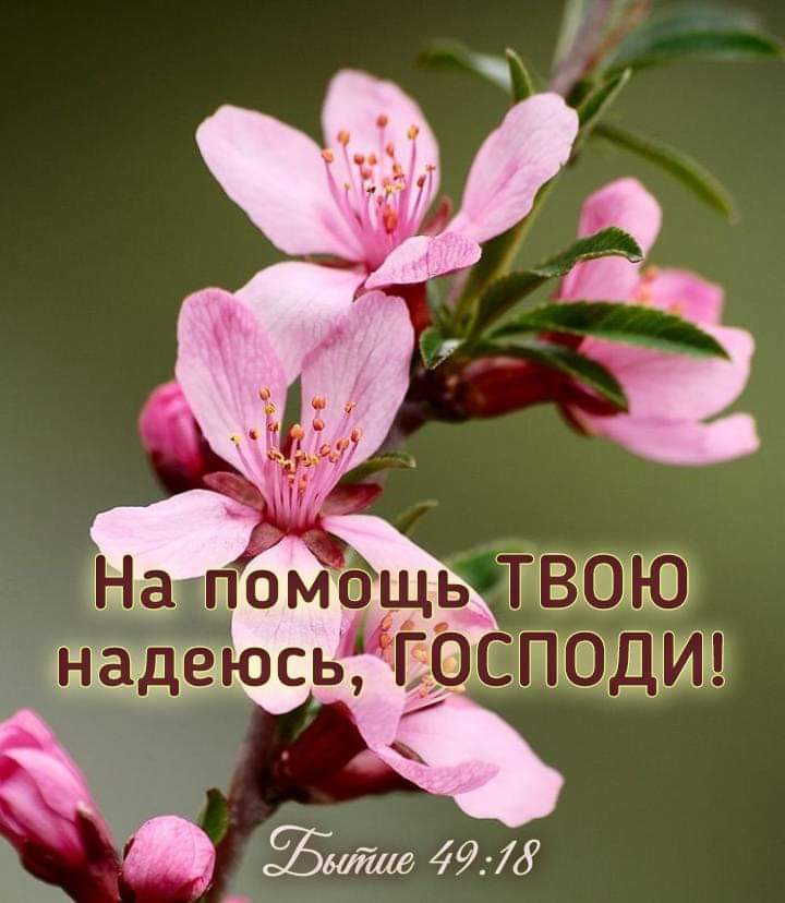 8 г Щг _ 550 4973