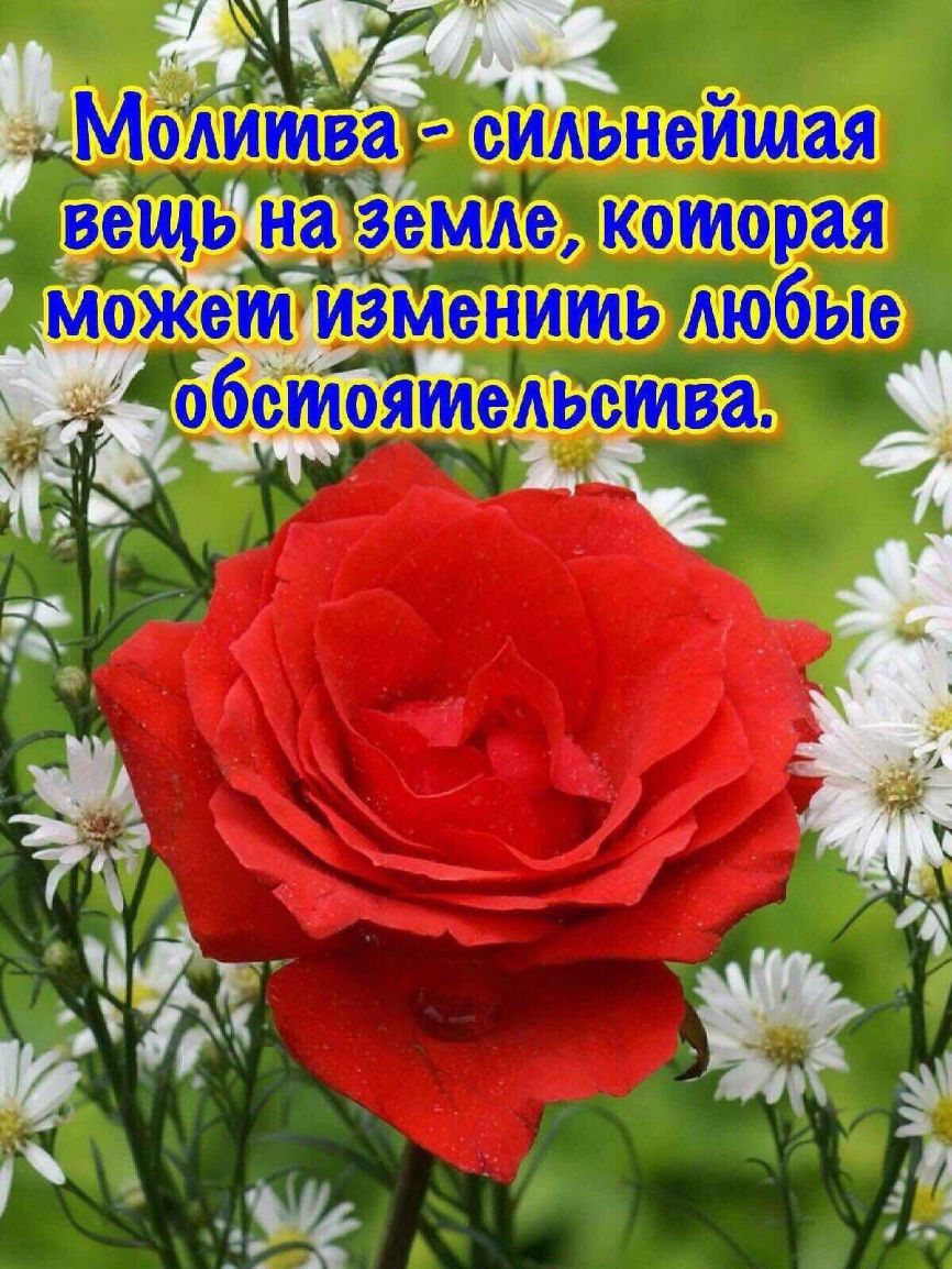 Ь _ _ ЁЁШщ _ я _ МЖ ить