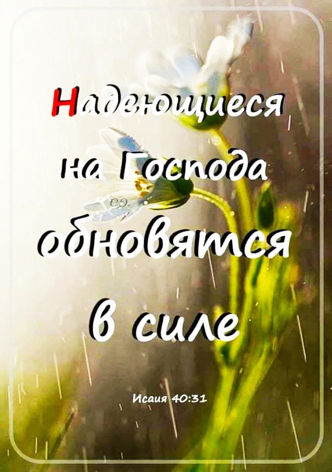 нлэо,ъой . Её н ё:ё а обнов я
