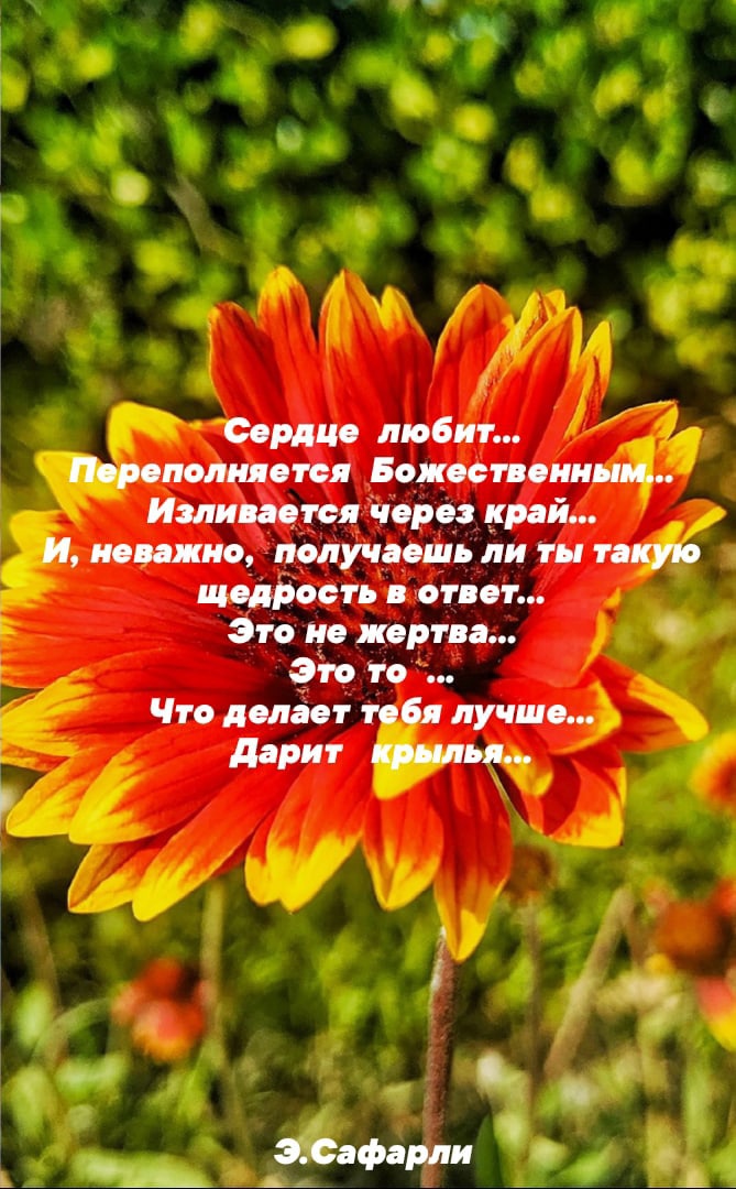Сердце любит Переполияется Божественным Имииетея через край И неважно получаешь ли ты такую щедрость ответ Это не жертва Это то Что делает тебя лучше дарит крылья _ ЗСафарли