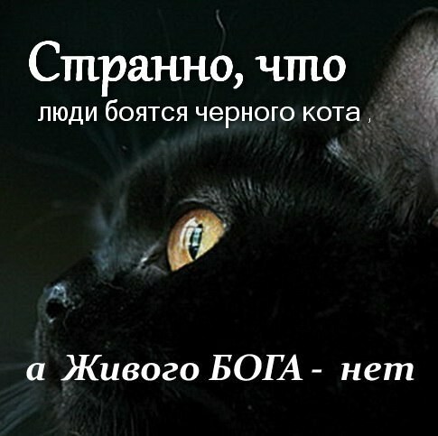 Странно что ЛЮДИ бОЯТСЯ ЧЭРНОГО кота 0 а Живого БОГА нет