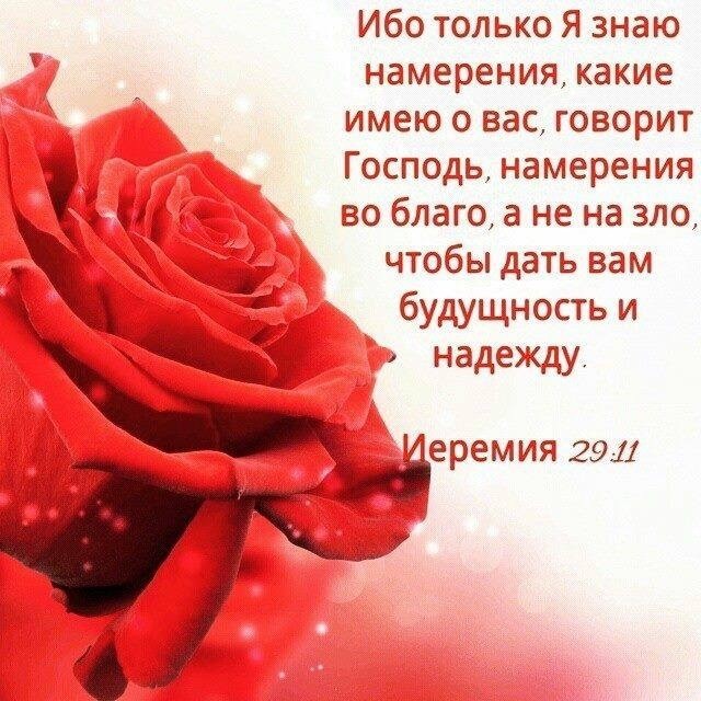 Ибо только Я знаю намерения какие имею о вас говорит Господь намерения во благо а не на зло чтобы дать вам будущность и надежду еремия 29 11