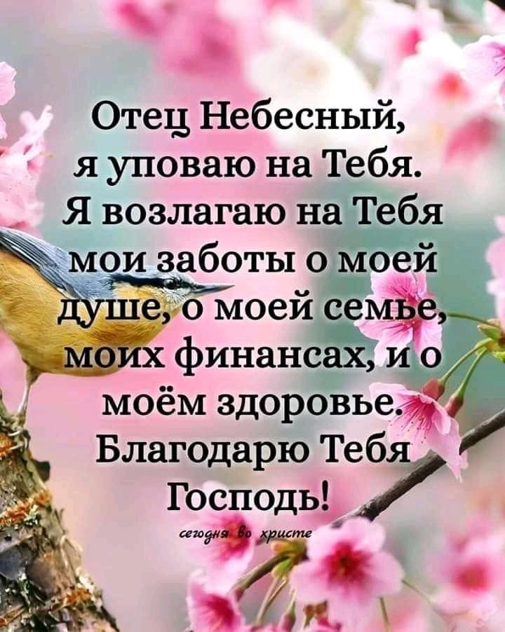 с Отец Небесный я уповаю на Тебя Я возлагаю на _ёбя мои заботы 0 ое МОЗМ ЗДОРОВЬЕ Благодарю Теб Господь щ