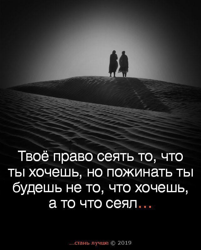 Твоё право сеять то что ты хочешь но пожинать ты будешь не то что хочешь то что сеял сгань лучше 2019