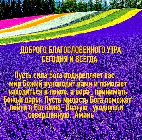 ЦВБРОГП БЛАЮСЛОВЕННПТО УТРА ЩЩШЯ И ВСЕГДА Сила Багаты РУКЬЩИТ вами и лимит