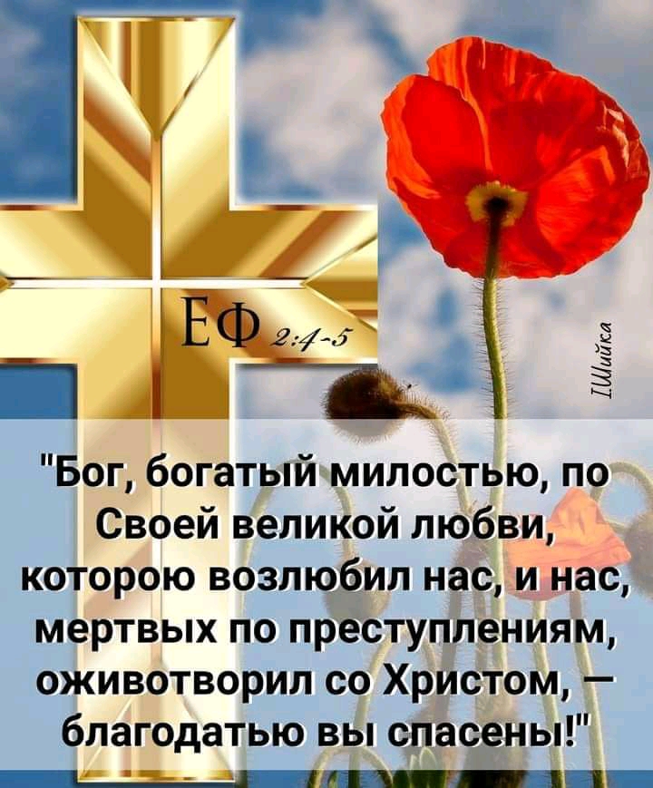 _ і ЕФ _ 13 Бог богатый милостью по Своей великой любви которою возлюбил нас и нас мертвых по преступлениям оживотворил со Христом благодатью вы спасены _____ Шийт