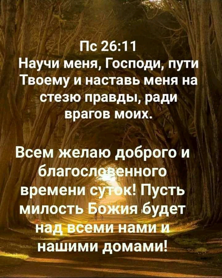 Пс 2611 Научи меня Господи пути Твоему и наставь меня на стезю правды ради врагов моих Всем желаю доброго и