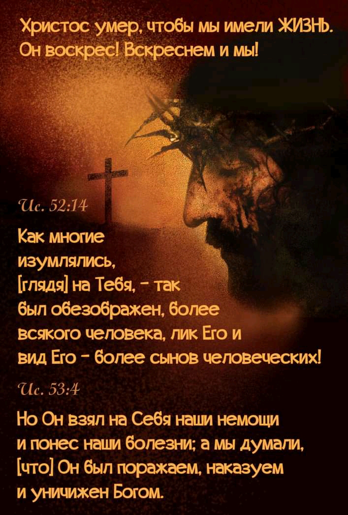 На 5214 Как многие изумлялись глядя на Тебя так был обезображен более всякого человека гик Его и вид Его более сынов человеческих Пс 534 НоОнвзялнаСебянацмнемощи ипонеснаимболезъмшмыдумали что Он был поражаем наказуем и уничижен Богом