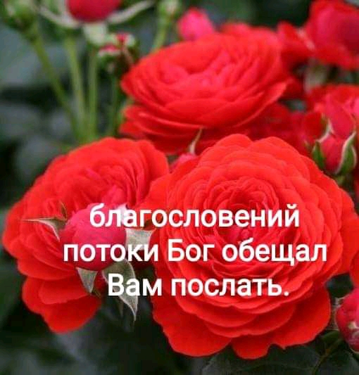 __ и бтгословений пот Бог обещал м послать