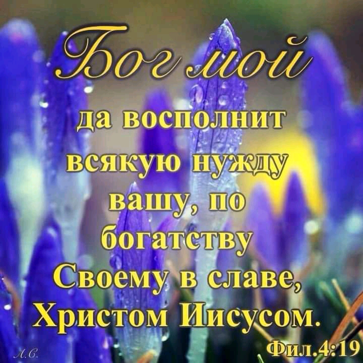 Христом ИХИсуё Ч ФЁлдл
