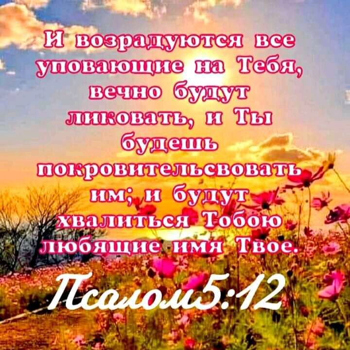 Р _ Ш 143 ага 71 шт гта с 333 ПЧ 53320161