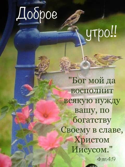 Бог МОй Да восполнит _ всякую нужду вашу по богатству Своему в славе __ Ё _ Христом _ _ Иисусом к фппАЮ 1 ль