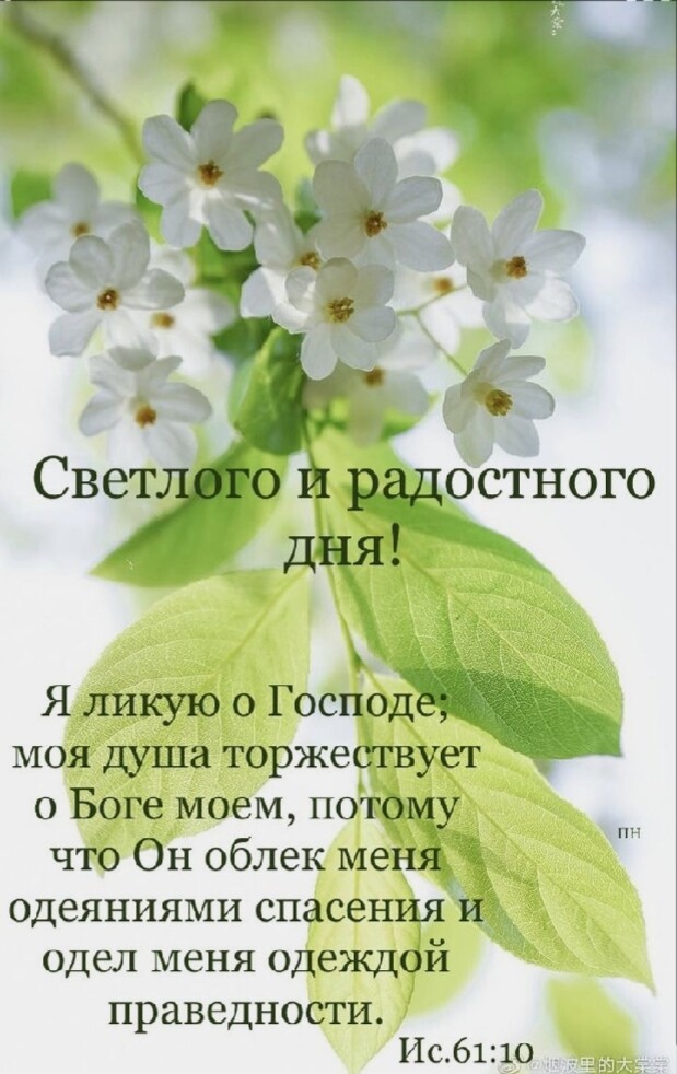 оБоге моем по что Он облек меч одеяниями спасен одел меня одежд й праведности Ис61_р _ пн
