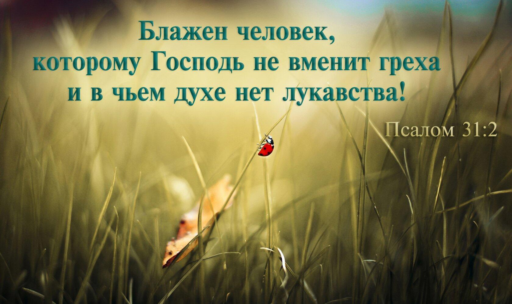 131 19 2141 км 11Ь1Ь 311 іі ЬОЬЦЮШЦПТ Ъ 1111 1Ь 116 ЬМ31ЬТ Чижа И В ьіэгбёМ ДЗХЭ ЬЬТ ЩЬЬЬШЬЭ А салом 312