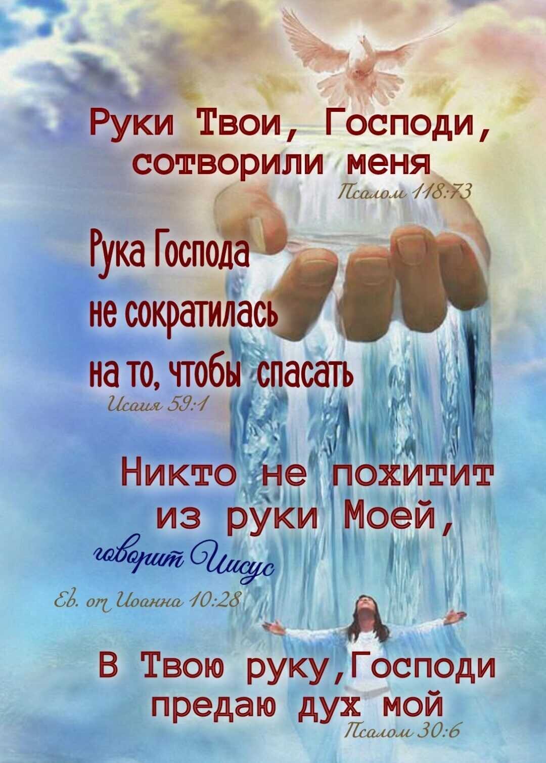 Руки Твои ГосПоди сотворили меня лшш г г ніж нато чтобы спасать у 531 д Никто не похитит из руки Моей 9 040 077 По ванна 0 25 д В Твою рукуГосподи П е аю 1 мои р д дУШшом306