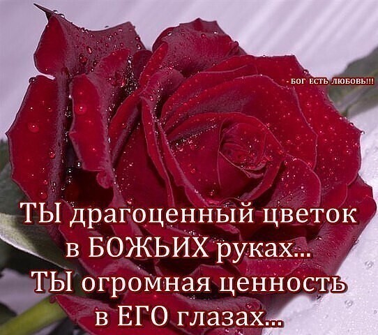 ТЫ Драгоценный цвёток в БОЖЬИХрукахд ТЫ огромная ценность в ЕГО глаздх