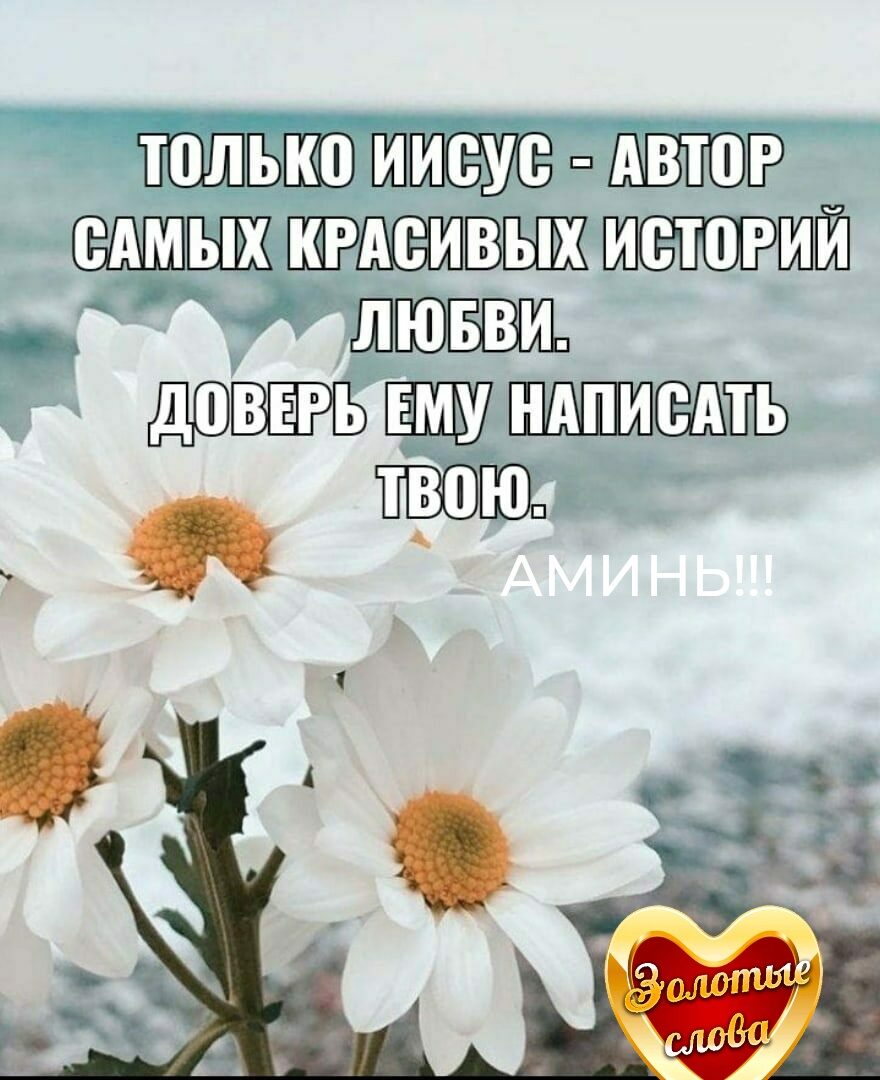 ЁШШЬШВ В ШЙ нь Шиш ЁЁШЁ1Ъ типо