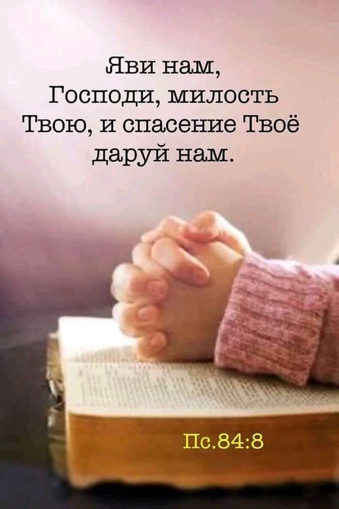 ЛВИ нам Господи милость Твою и спасение Твоё даруй нам