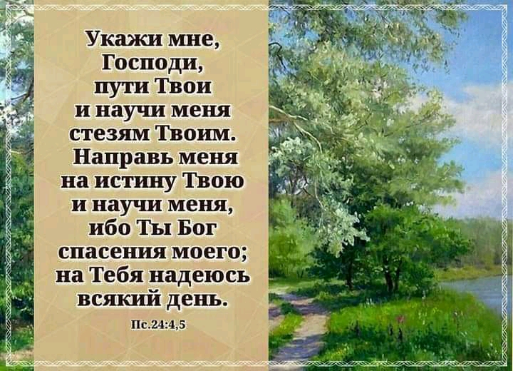 Укажи мне Господи пути Твои и научи меня стезям Твоим Направь меня на истину Твою и научи меня ибо ТЫ Бог спасения моего на Тебя надеюсь всшсий день Пс2445