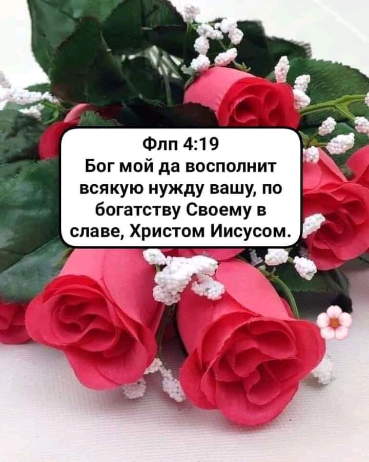 Флп 419 Бог мой да восполнит всякую нужду вашу по богатству Своему в славе Христом Иисусом