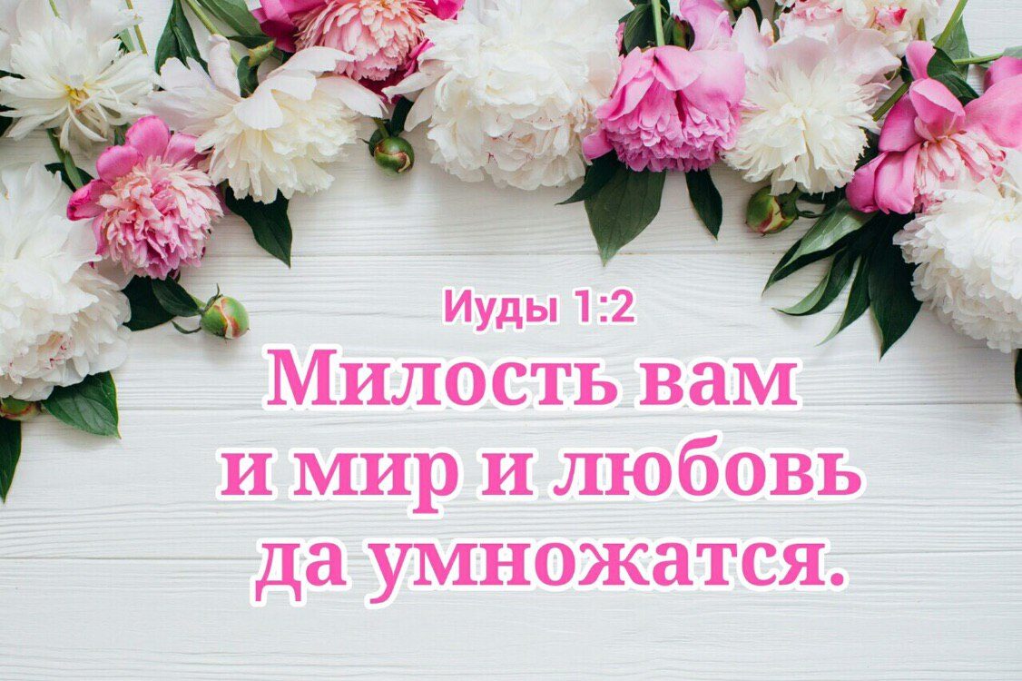 М илость вам и мир и любовь да умножатся