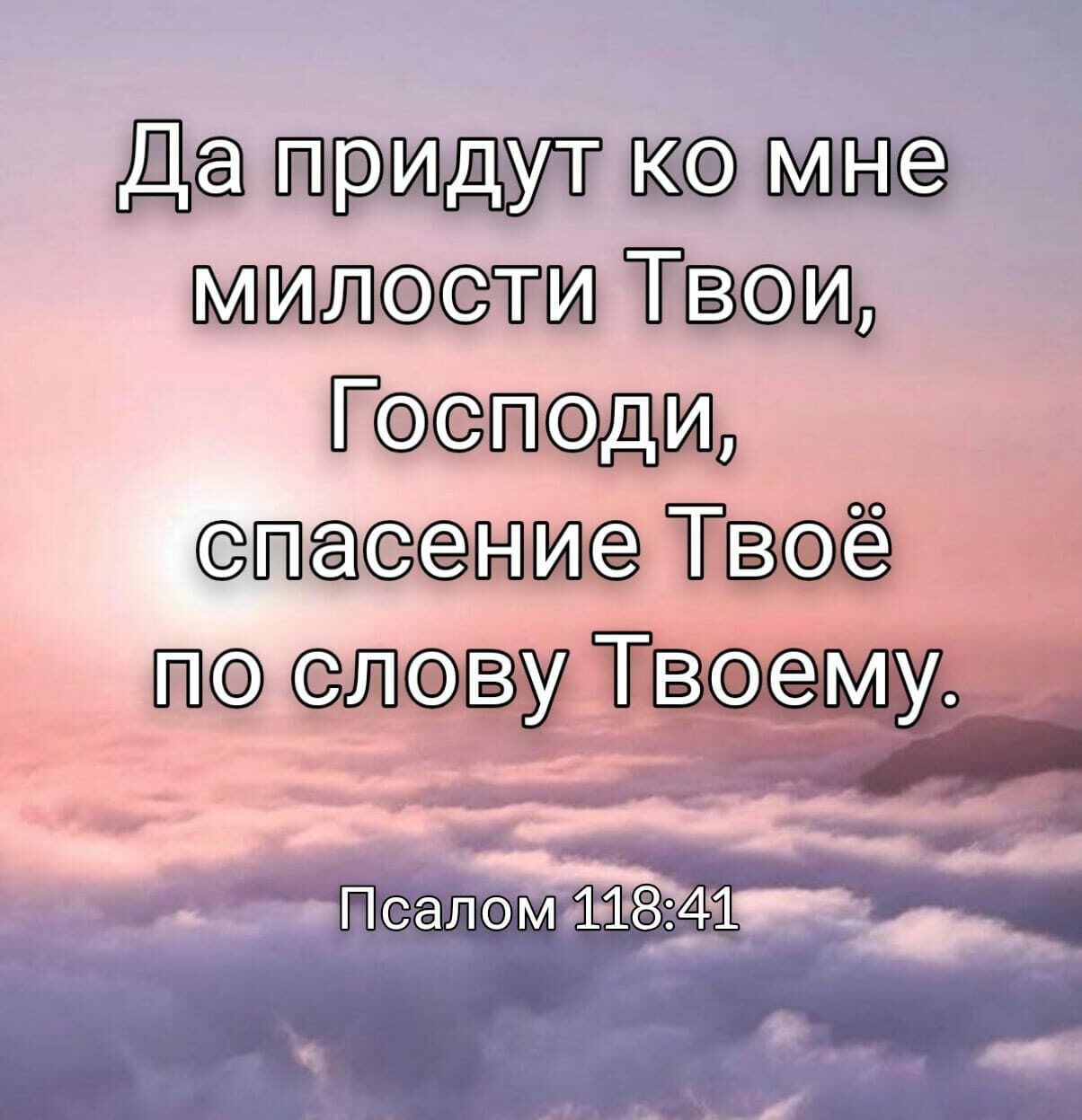 Твмь Тд Тве у Тто Йё 118341