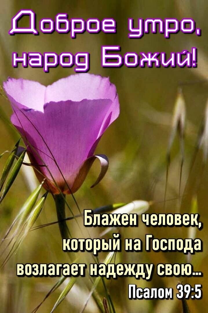 рве Нитра Атрай БОЖИЙ БлажАен человек который на Господа твозпагаднадежду свою 7 Псалом 395