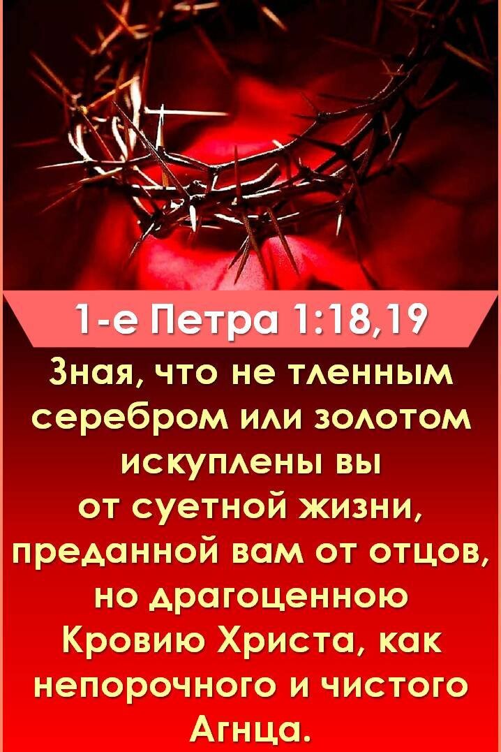 1е петра 1:18,19 зная, что не тленным серебром или золотом искуплены вы от суетной жизни, преданной вам от отцов, но драгоценною кровию христа, как непорочного и чистого агнца.