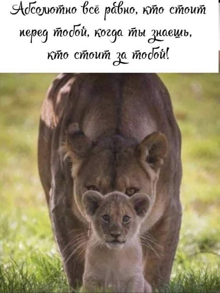 Эеуютио бсё рбио кто стоит. Кере тодбй, когда ты дкаешь, кто стоит ёйосдй!
