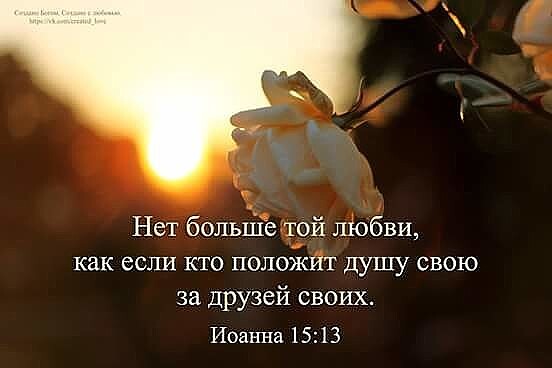 Нет больш той любви как если кто положит душу свою за друзей своих Иоаъп ха 1513