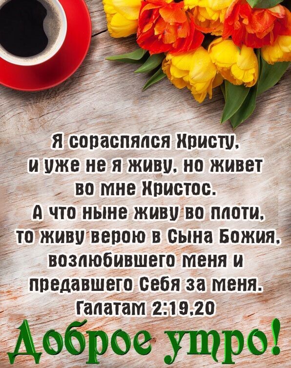 я сопаспяпся кристи и не не я живи но живет во мне ипистос А что ныне живи во плоти _ то Жививепою в сына Божия Ё воздюбившего меня и ппедавшего себя за меня _ гапатам 2 19 20 Доброе утро