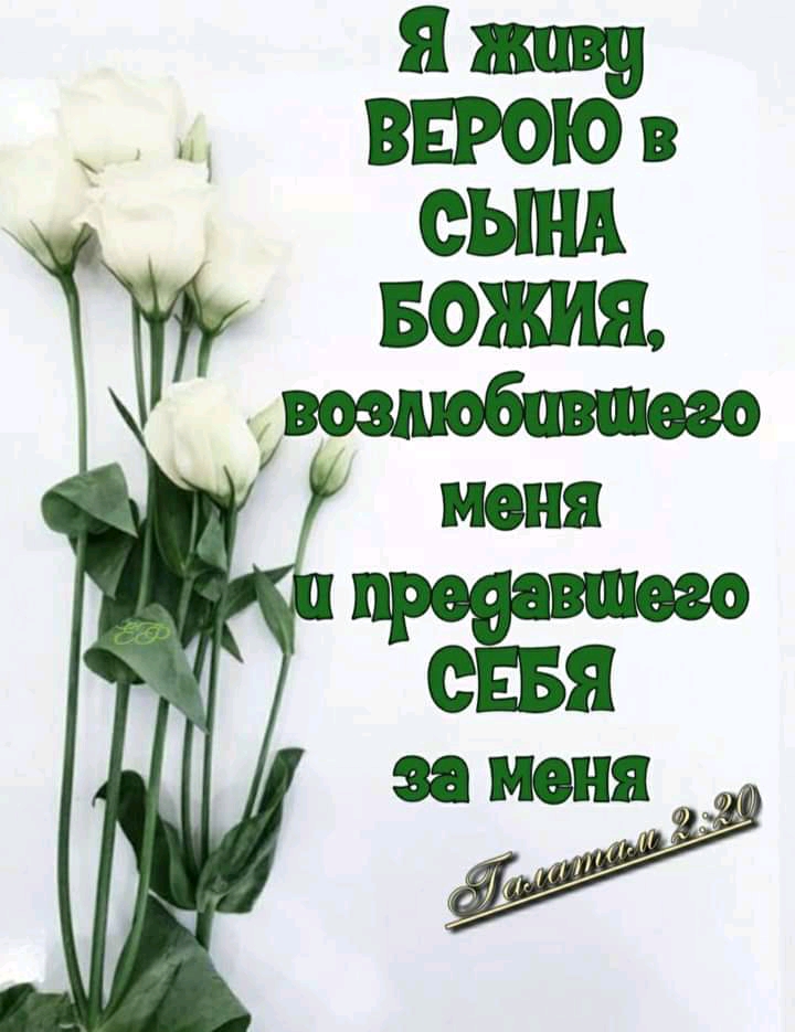 ВЕРОЮ СЫНА вохшя СЕБЯ