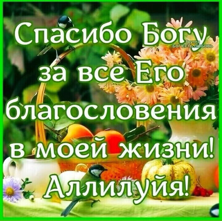 прут ПП _ Бтвь А в Его ОЕ __уия ЫЬЁ 1 д бВеНИЯ 60 Б у в МОеи жи у 1 ед за всё блаГОсл Алли СпёСи ч