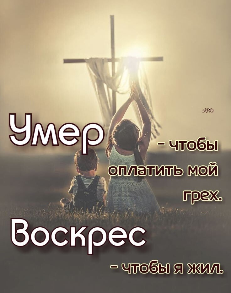_ платить Воскрес шчпбняажихто