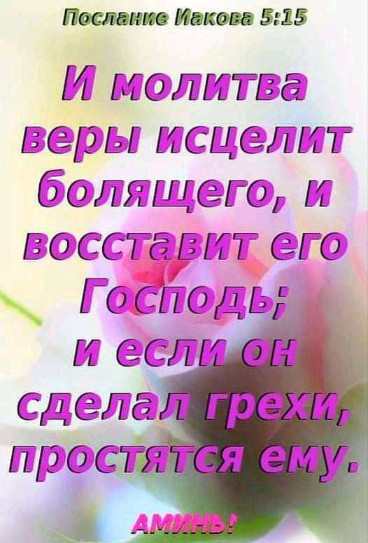шоки Пакт 515 МОГ ПТЕа еды СЦЛТ болящеттг эо ССТ гит его _ 9 Го од СГСГЁ