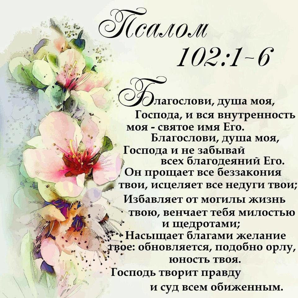 690606511 0 Оз р 6 бэ лагослови душа моя Господа и вся внутренность моя святое имя Его Благослови душа моя т _ Господа и не забываи всех благодеяний Его Он прощает все беззакония твои исцеляет все недуги твои _ Избавляет от могилы жизнь твою венчает тебя милостью и щедротами ЁНасыщает благами желание дгвое обновляется подобно орлу Ё _ юность твоя Господь творит правду и суд всем обиженным _