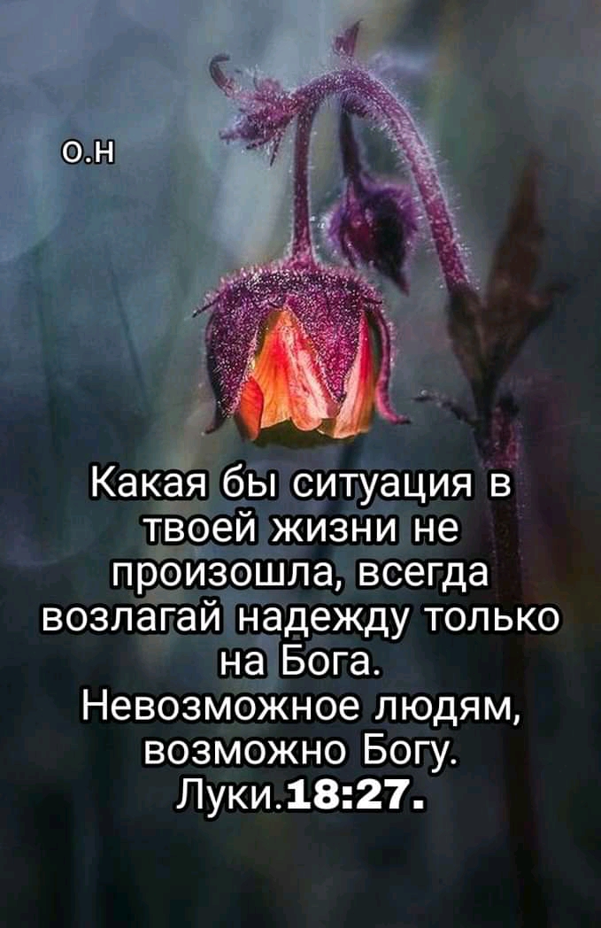 ОН Какая бы ситуация в твоей жизни не произошла всегда возлагай надежду только на Бога Невозможное людям возможно Богу Луки1827