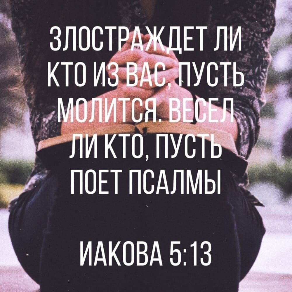ИАКОВА 513