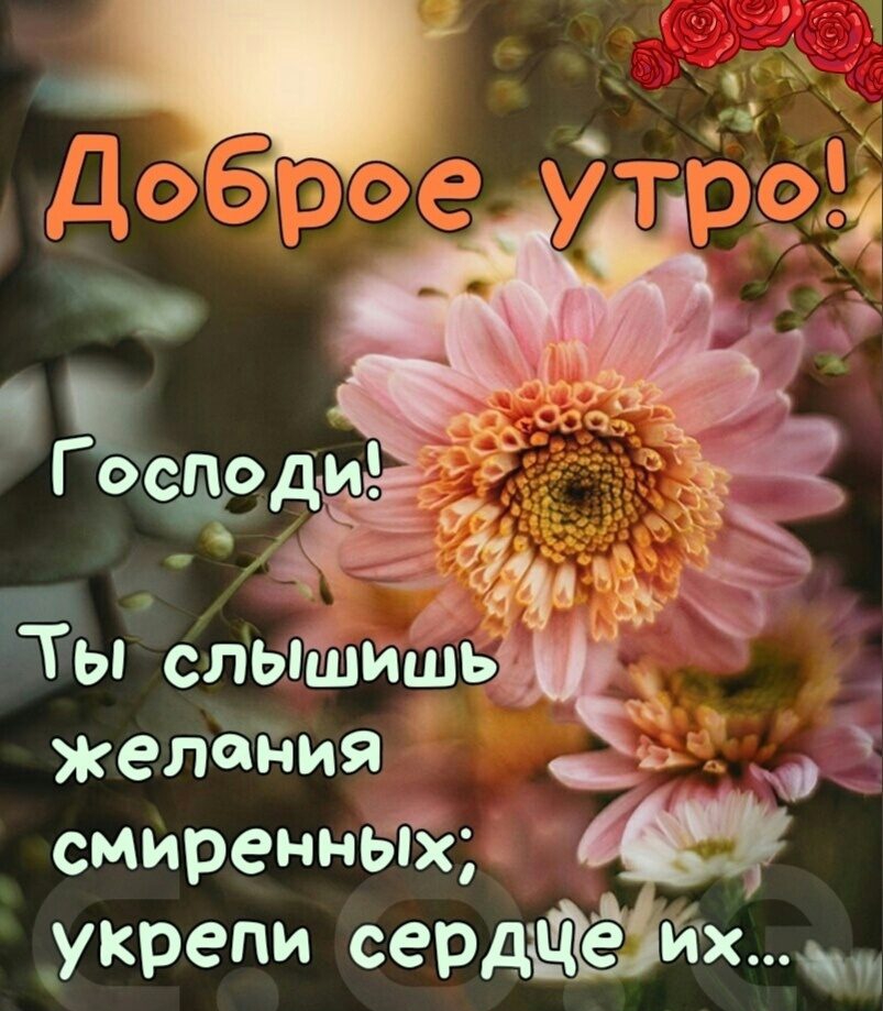 желания _ смиренных укрепи сердШй их