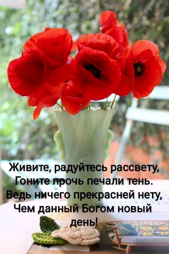 с ч Живите радуйтесь рассвету омуте прочь печали тень дь ничего прекрасней нету Чем данньпй БВЮМ новый день