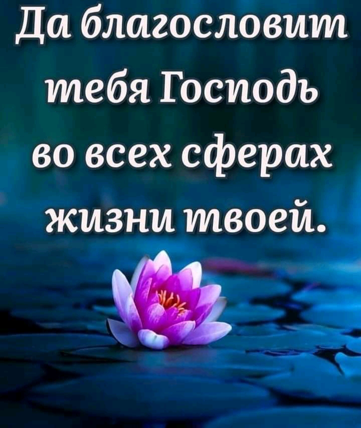 Да благослбвит тебя Господь во всех сферах жизни твоей