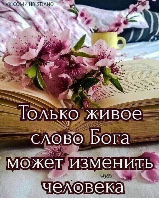 Ч сдМ нюэпдыо О чеАвека