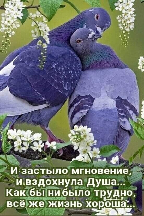 и застыло мгновение ивздохнуладуша Как бы нибЫ о_ трудно ап чёк всё ж знь хороша аш