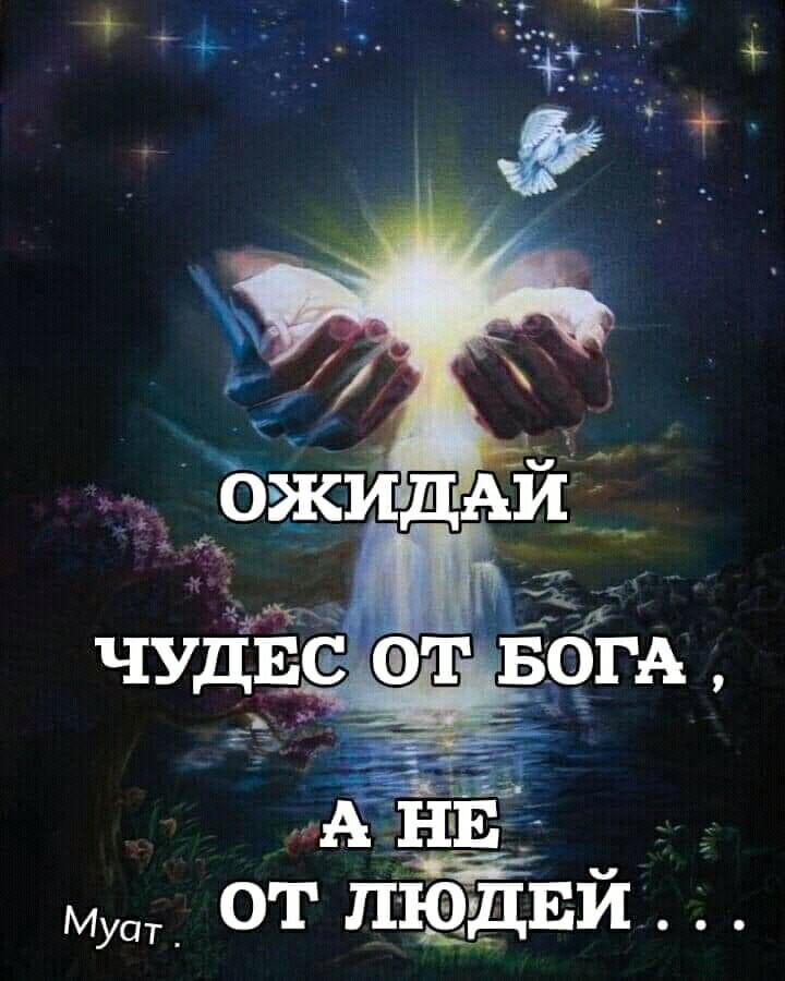 маа от людви