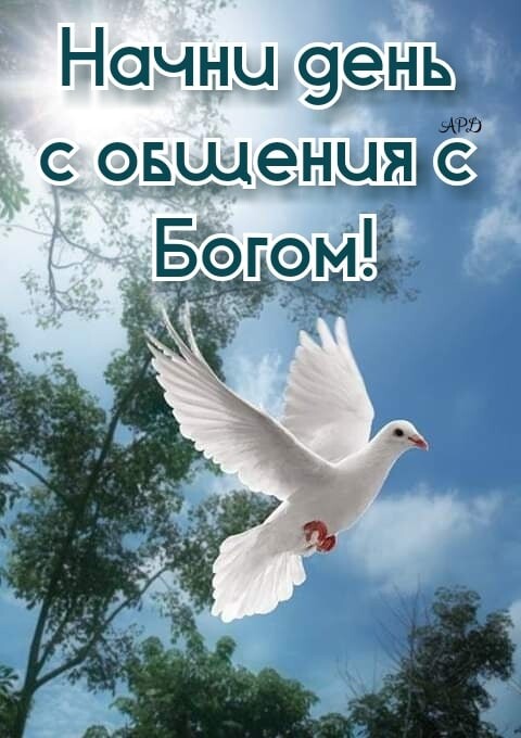 Начни зёнз овёшеныёсз