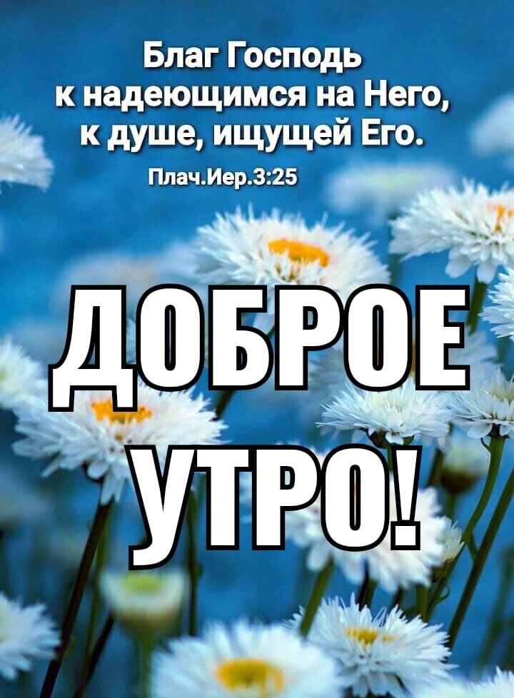 113 ЩТБЕЕШЕШ ада ЩЛУЩ ищущий Ёжъ Т