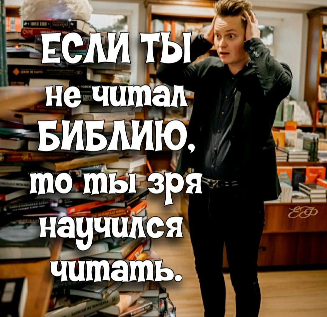 тр шйгзря панциря чшпать Т